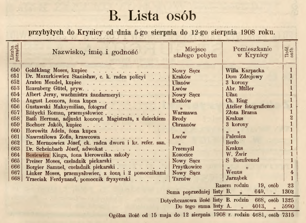 Krynica. 1908, nr 13